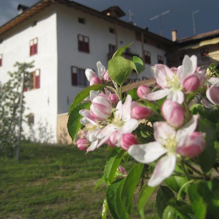 Agritur Maso San Bartolomeo Villa Romeno Dış mekan fotoğraf